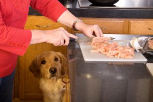 How to Boil Chicken for Dogs: A 7-Step Pawesome Guide - Raised Right