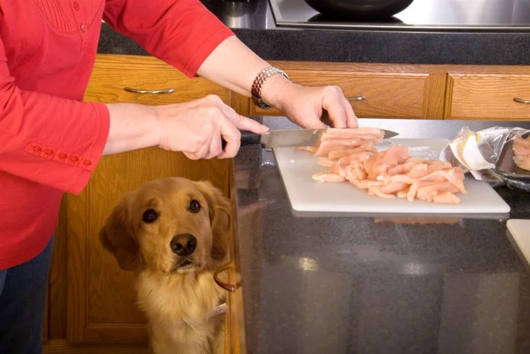 How to Boil Chicken for Dogs A 7 Step Pawesome Guide Raised Right Human Grade Pet Food