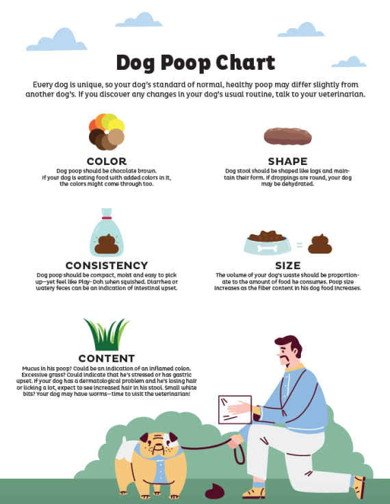 Dog Poop Chart: What is Normal & When to Worry - Raised Right - Human ...